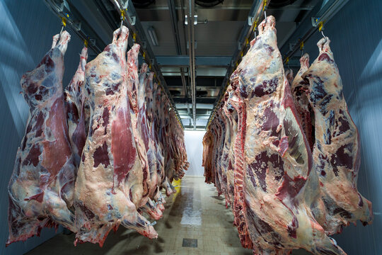 Tabro Meat Pty Ltd Tabro Meat Pty Ltd